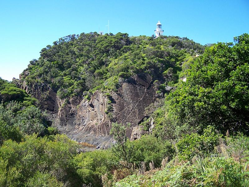 seal-rocks 049.jpg